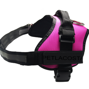 Dog Harness NEW