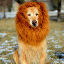Load image into Gallery viewer, Lion Mane Wig for Large Dogs
