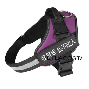 Dog Harness NEW