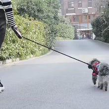Cargar y reproducir el video en el visor de la galería, Pet Dog Automatic Retractable Fiber Leash Night Safety LED Shining Automatic Stretching Dog Hand Holding Rope Pet Supplies
