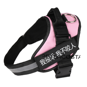 Dog Harness NEW