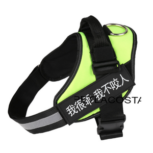 Dog Harness NEW