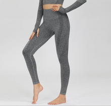 Cargar imagen en el visor de la galería, High waist sports tights Fitness, Yoga, Gym, Running, Training, Outdoor, Basketball, Dance,
