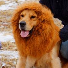 Load image into Gallery viewer, Lion Mane Wig for Large Dogs
