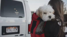Load and play video in Gallery viewer, Pet Backpack Ventilated And Breathable
