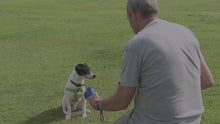 Cargar y reproducir el video en el visor de la galería, Pet Food Catapult Feeder Funny Dog Toys Game Park
